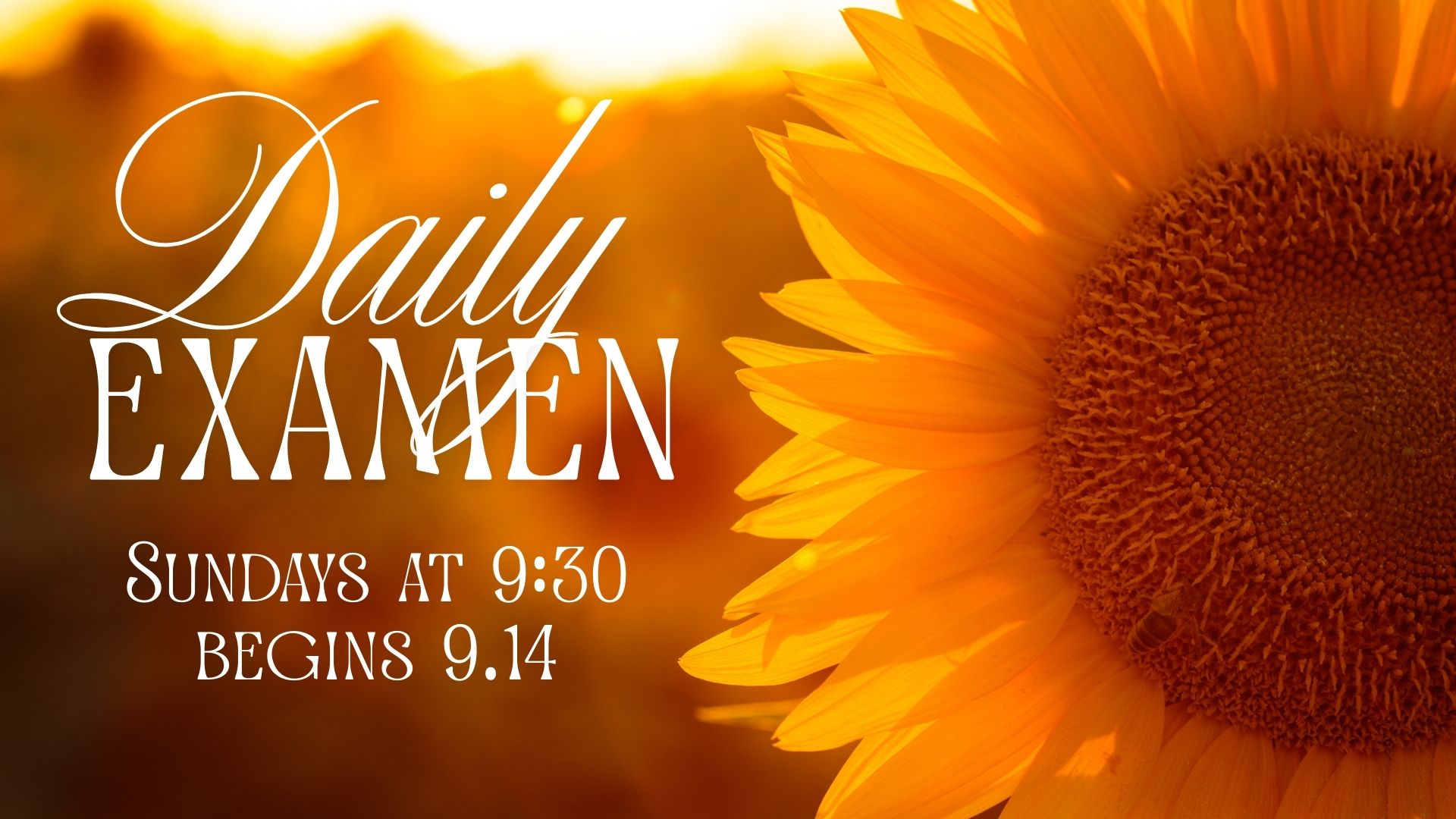 Daily Examen