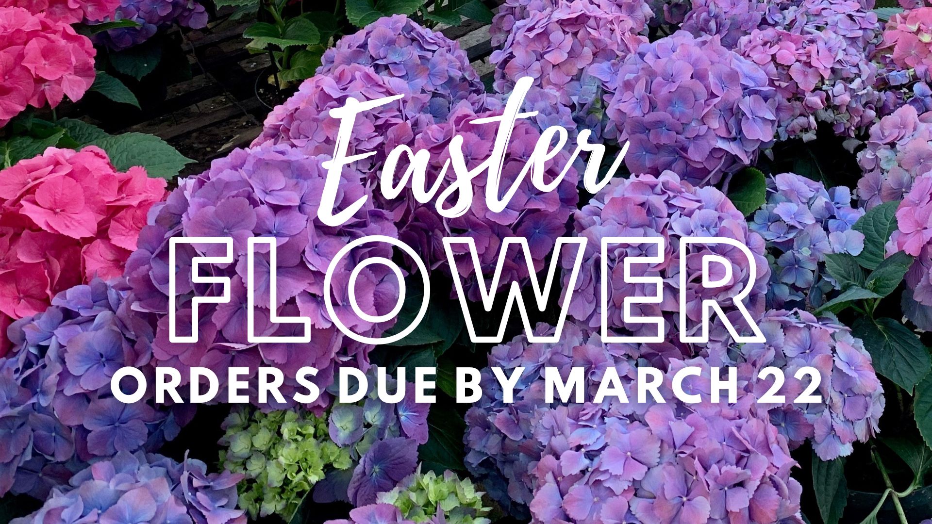 3.22_Easter Flowers Reminder