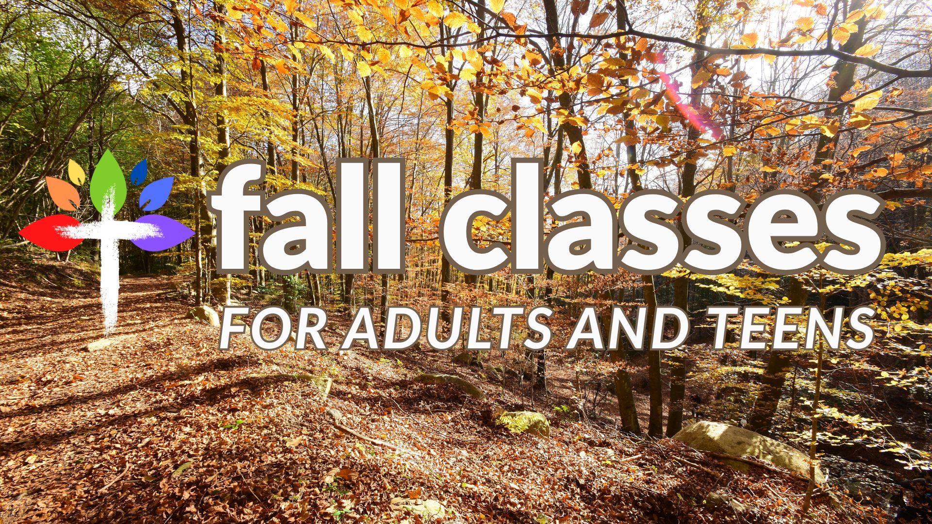 Fall Classes for Adults and Teens